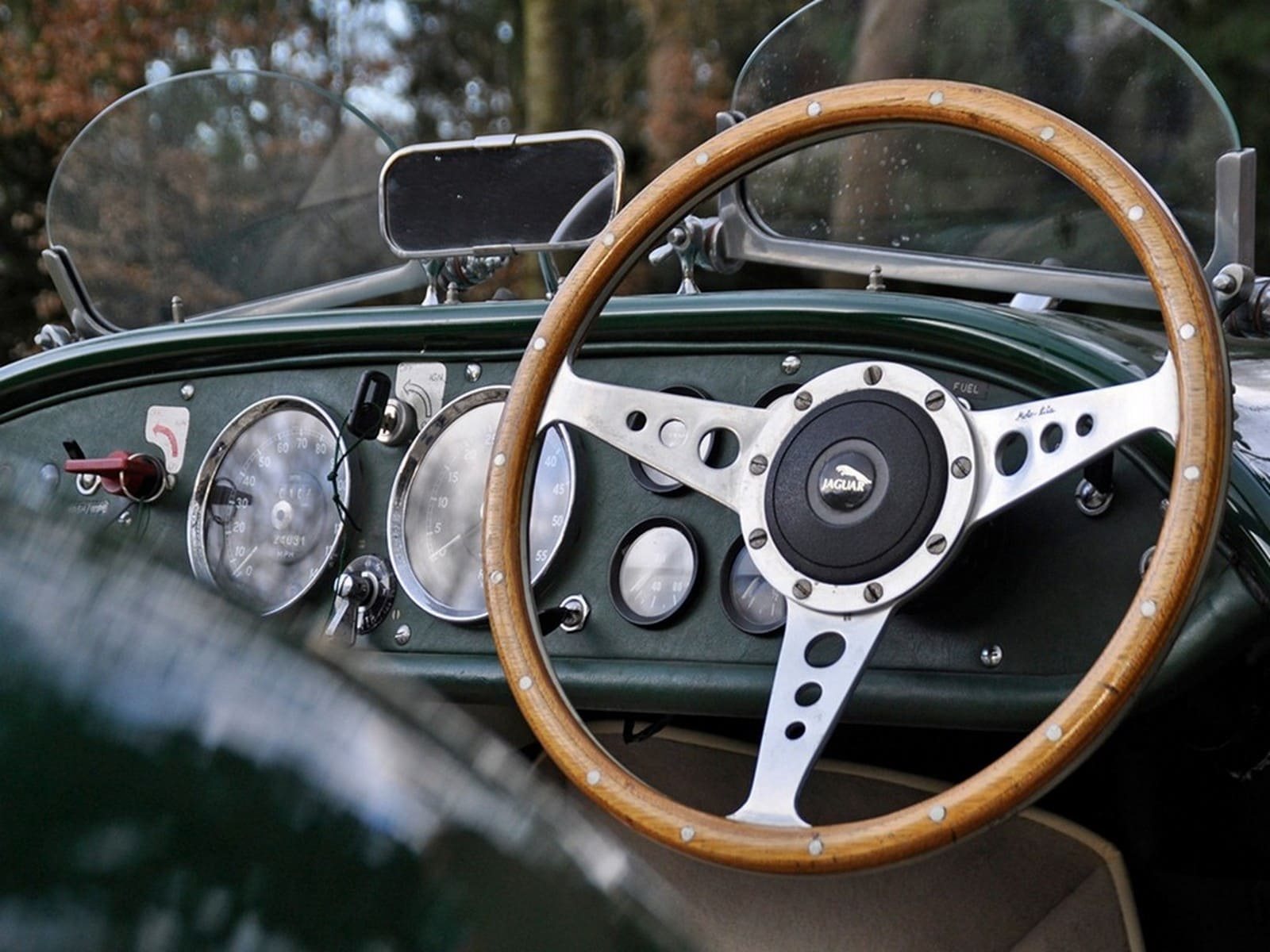 KOUGAR SPORTS JAGUAR, foto 17