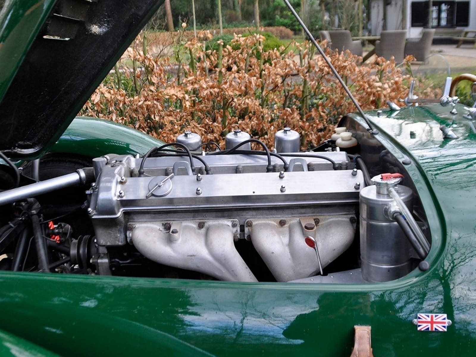 KOUGAR SPORTS JAGUAR, foto 32