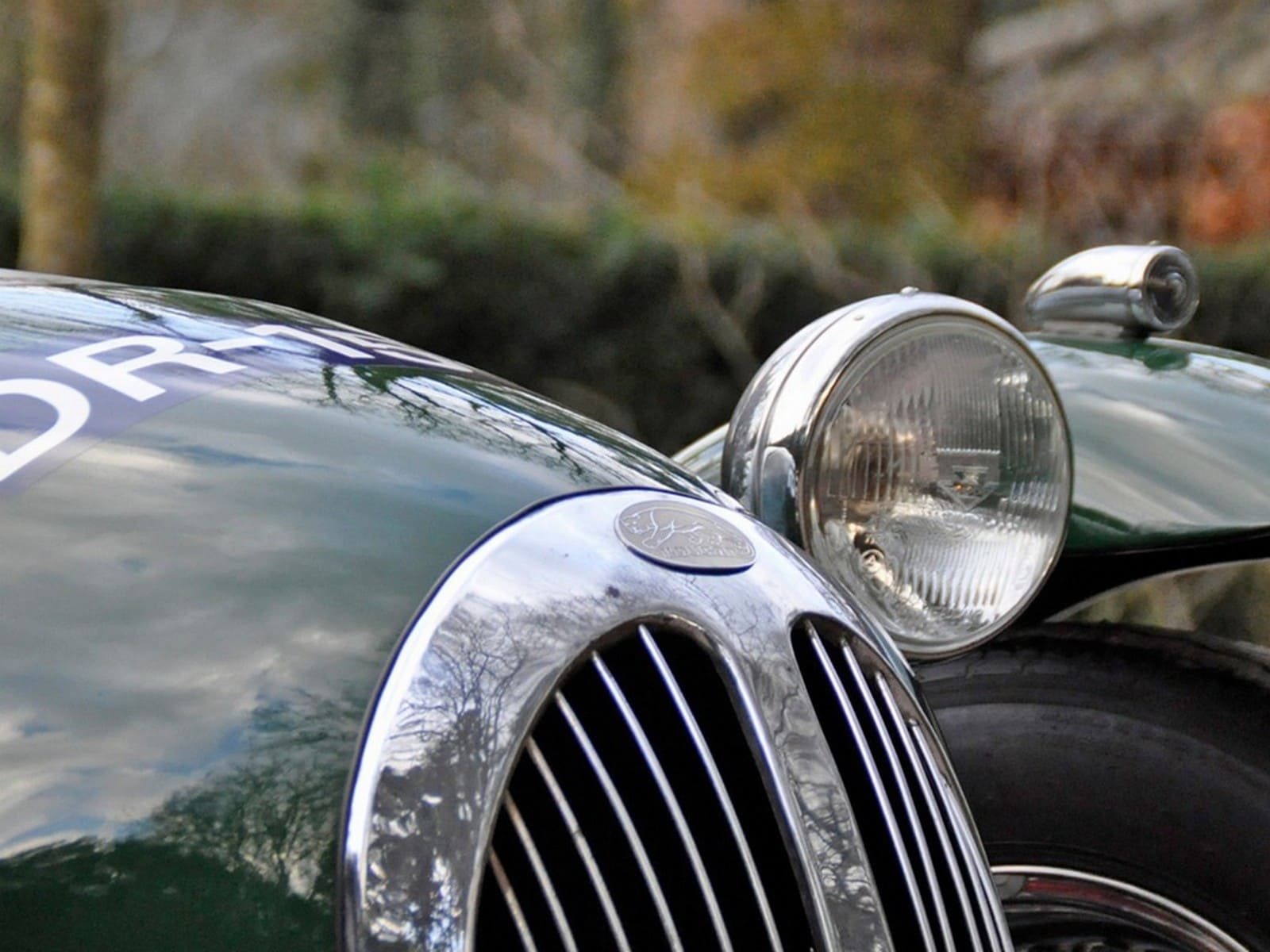 KOUGAR SPORTS JAGUAR, foto 34