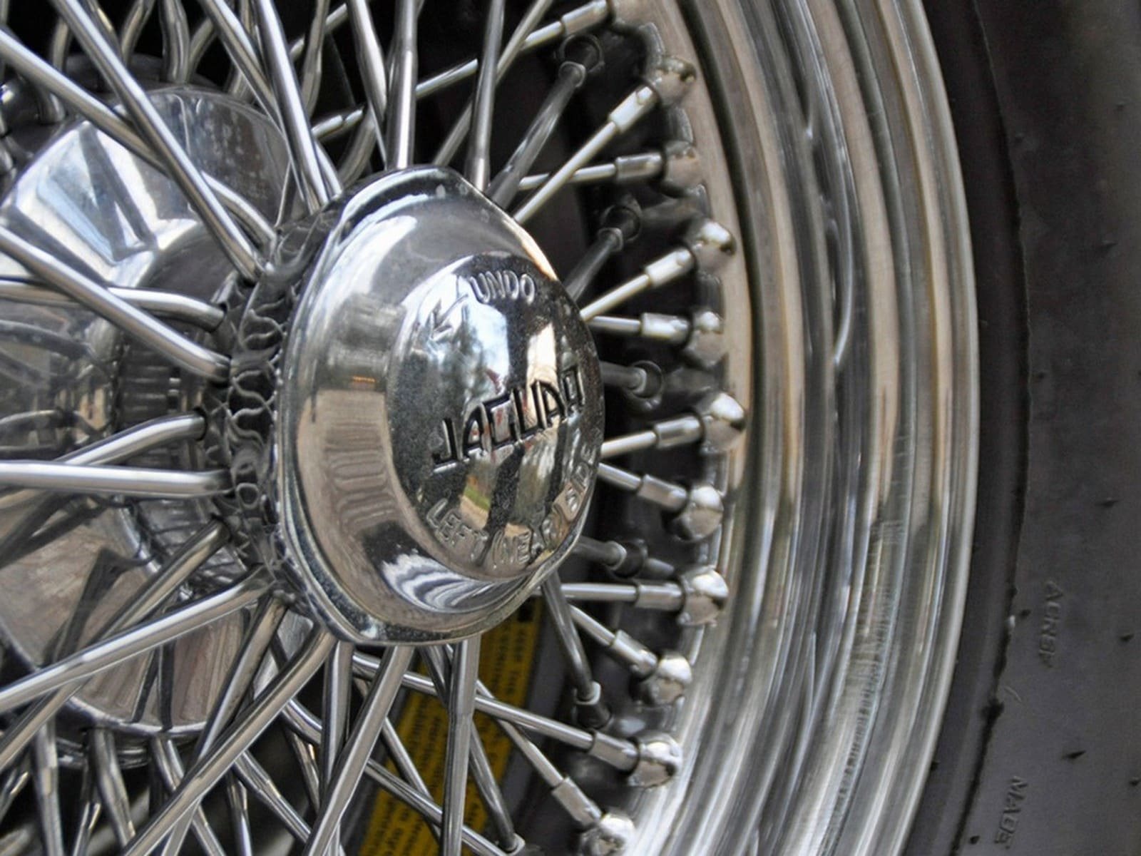 KOUGAR SPORTS JAGUAR, foto 37