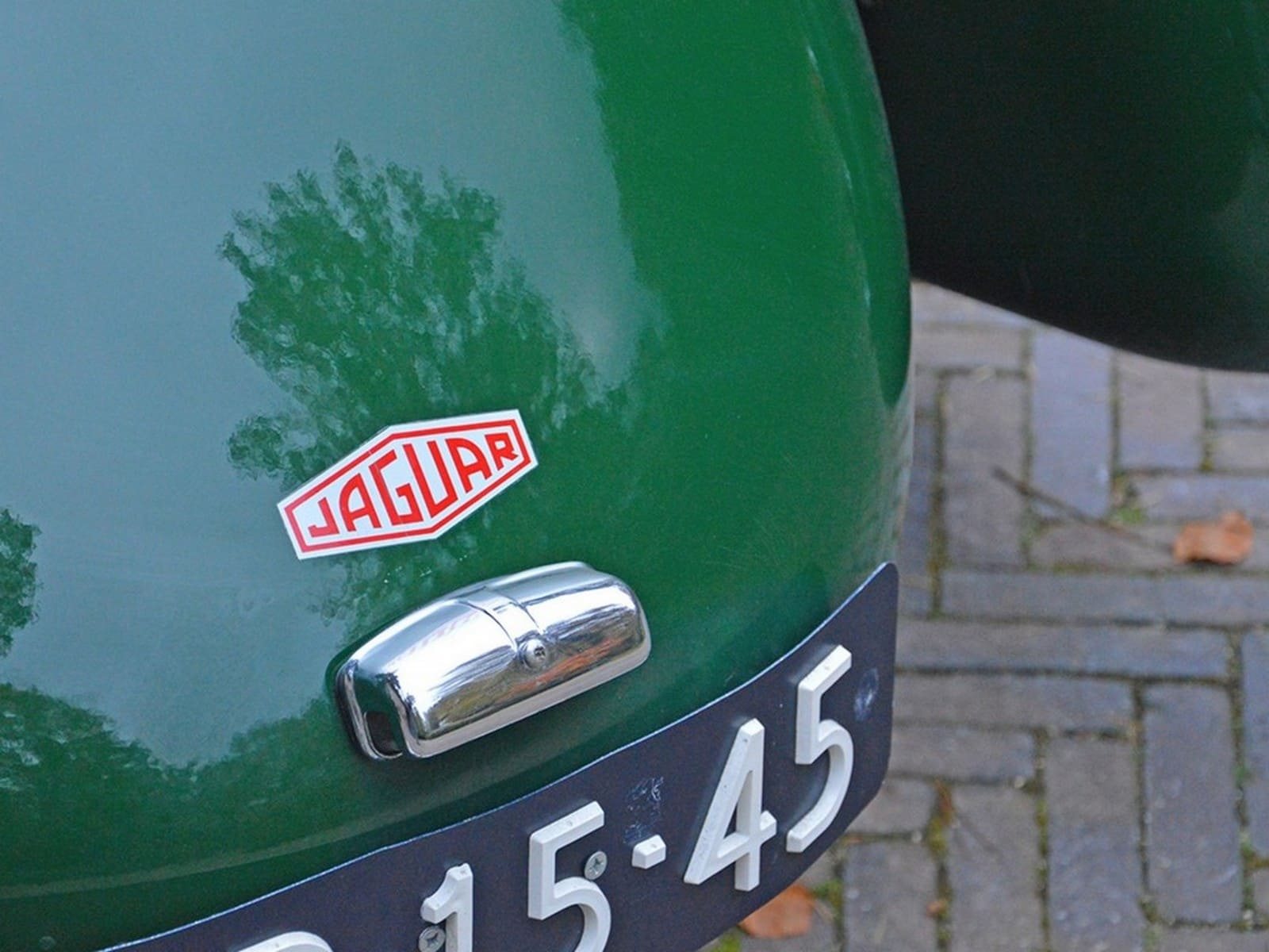 KOUGAR SPORTS JAGUAR, foto 41