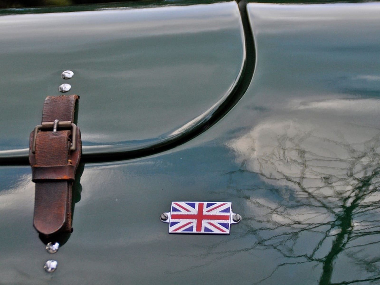 KOUGAR SPORTS JAGUAR, foto 43