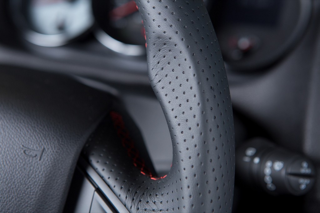 RENAULT MÉGANE III RS 265, foto 76