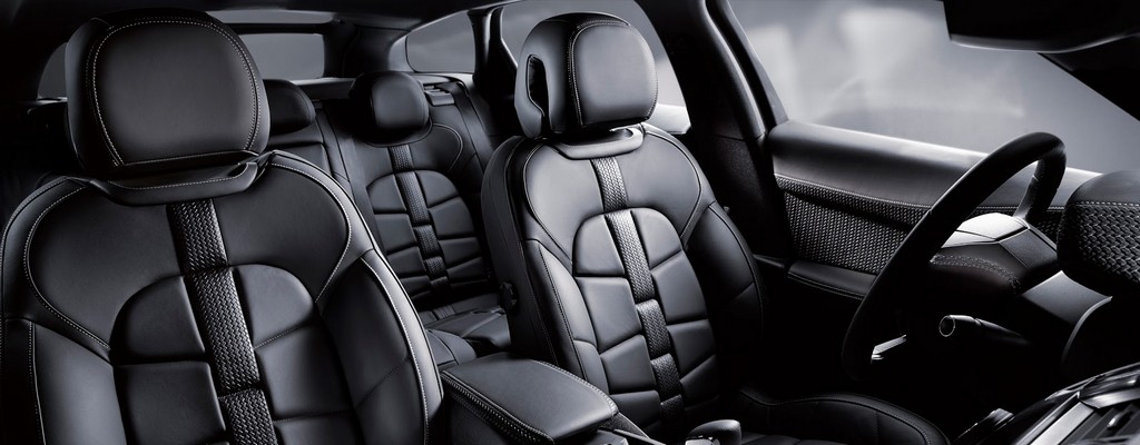 DS 5 COMMANDE SPECIALE, foto 7