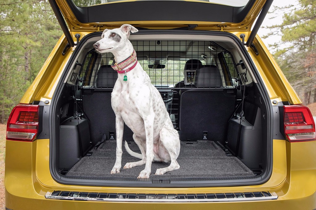 2017 - VOLKSWAGEN ATLAS WEEKEND EDITION, foto 13