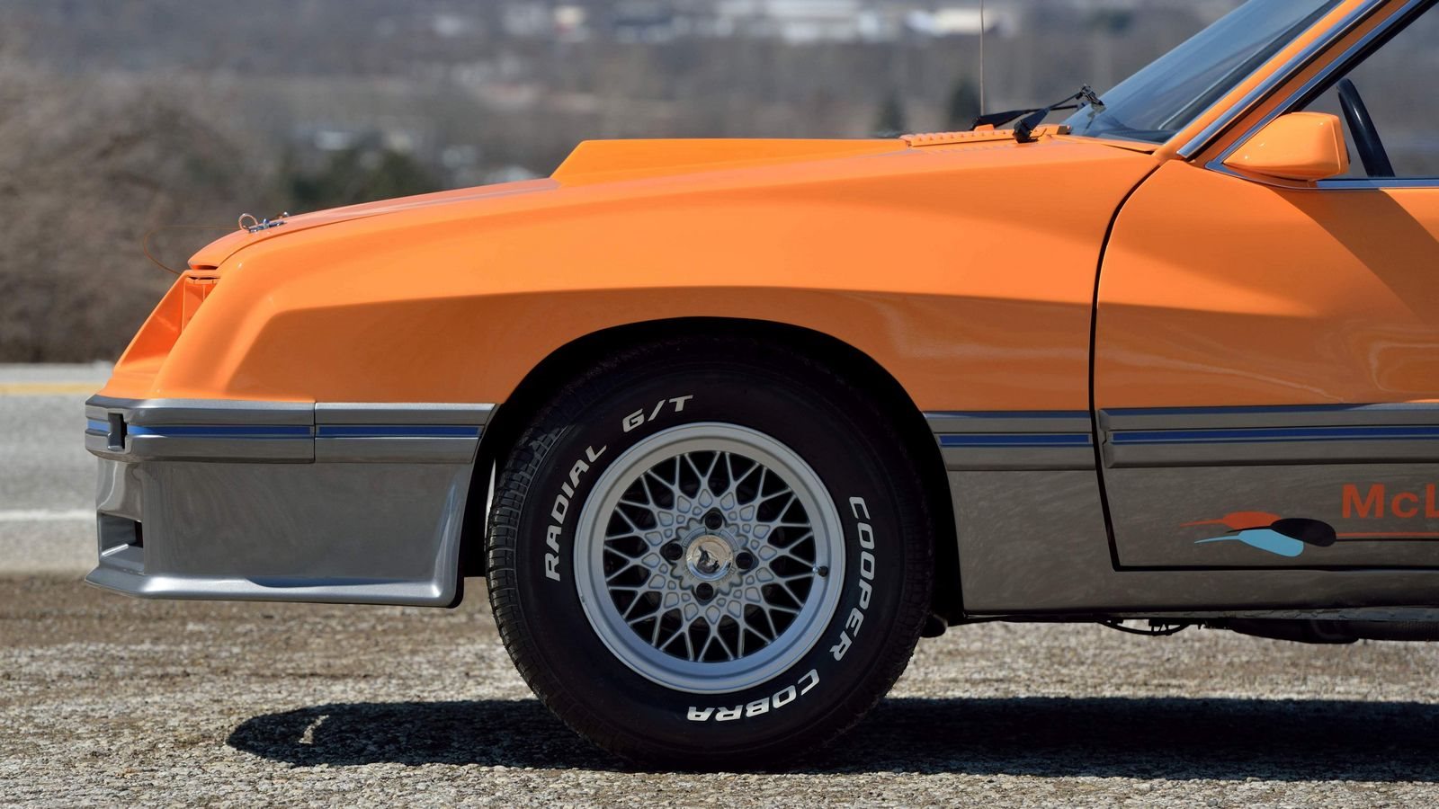 McLAREN MUSTANG M-81, foto 12
