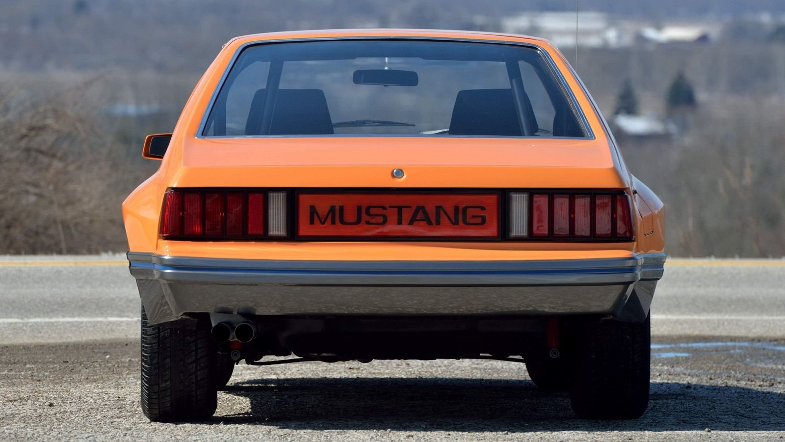 McLAREN MUSTANG M-81, foto 13