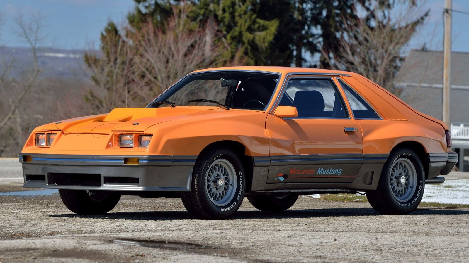 McLAREN MUSTANG M-81, foto 14