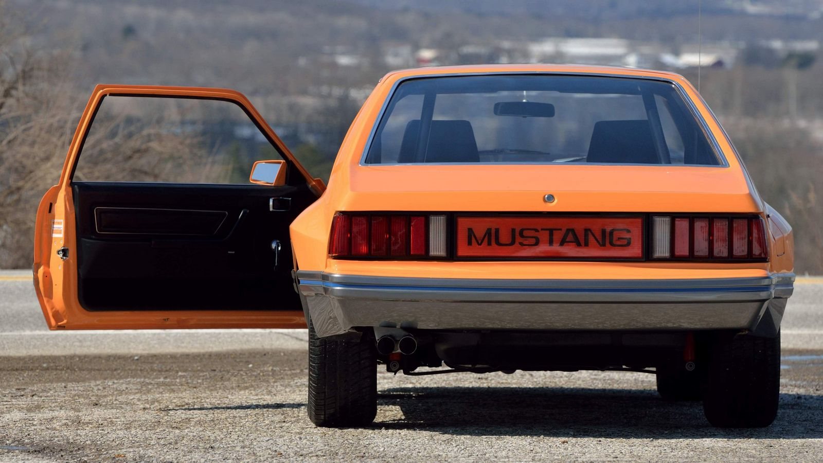 McLAREN MUSTANG M-81, foto 18