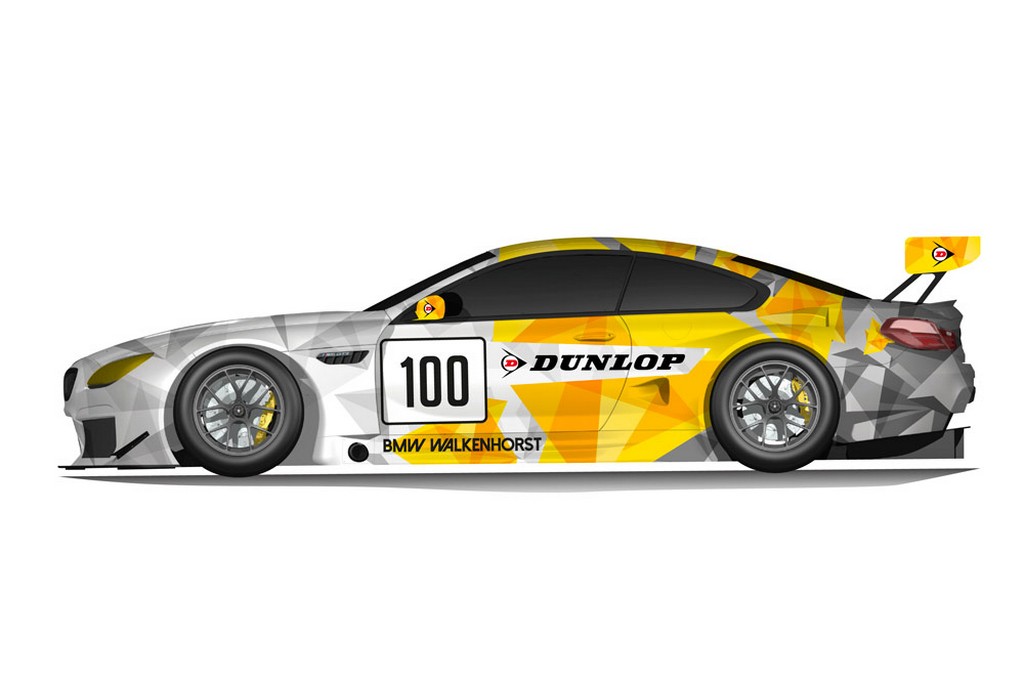2017 - BMW M6 COUPE GT3 DUNLOP ART CAR, foto 1