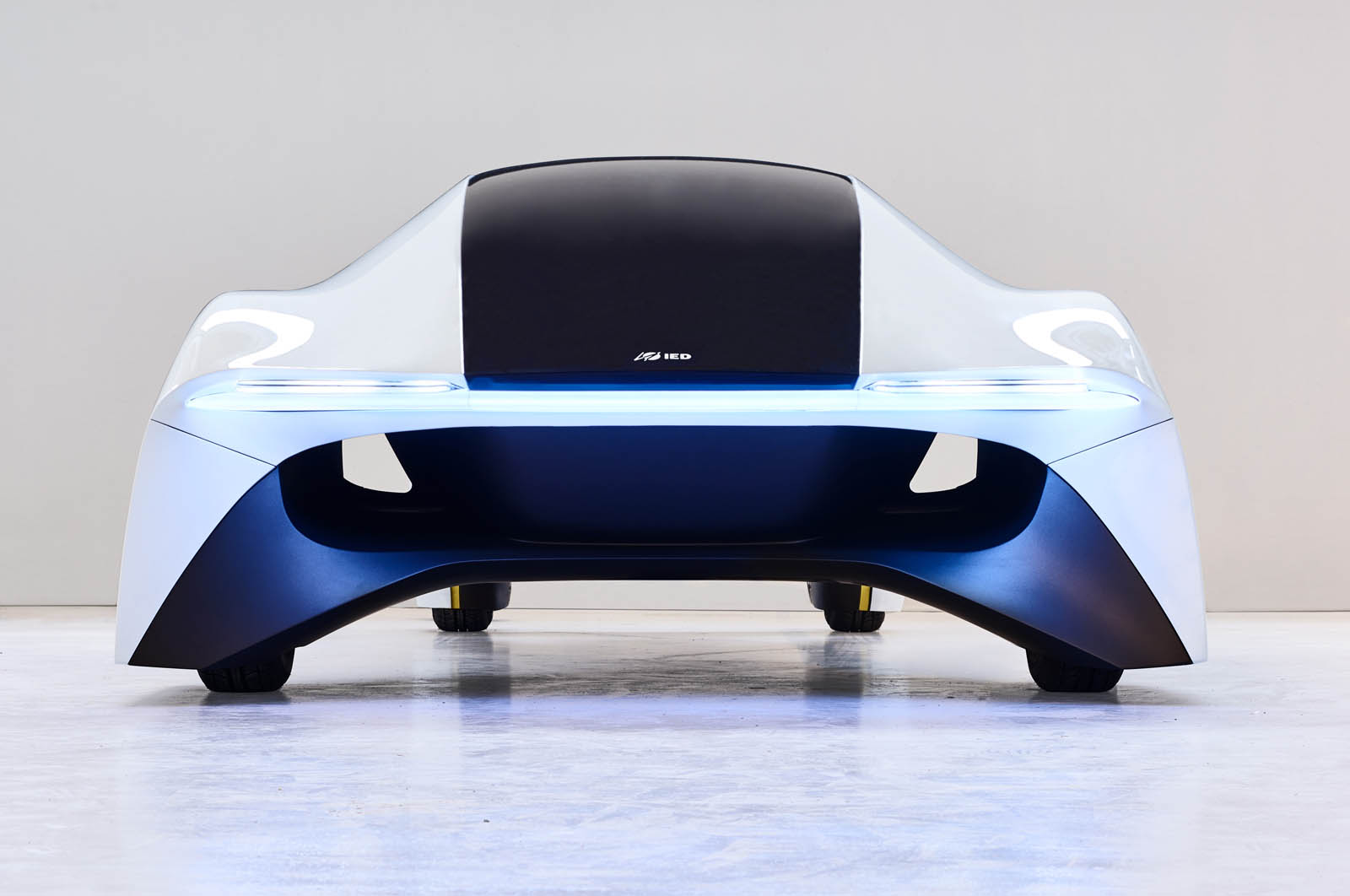 2017 - SCILLA CONCEPT, foto 2