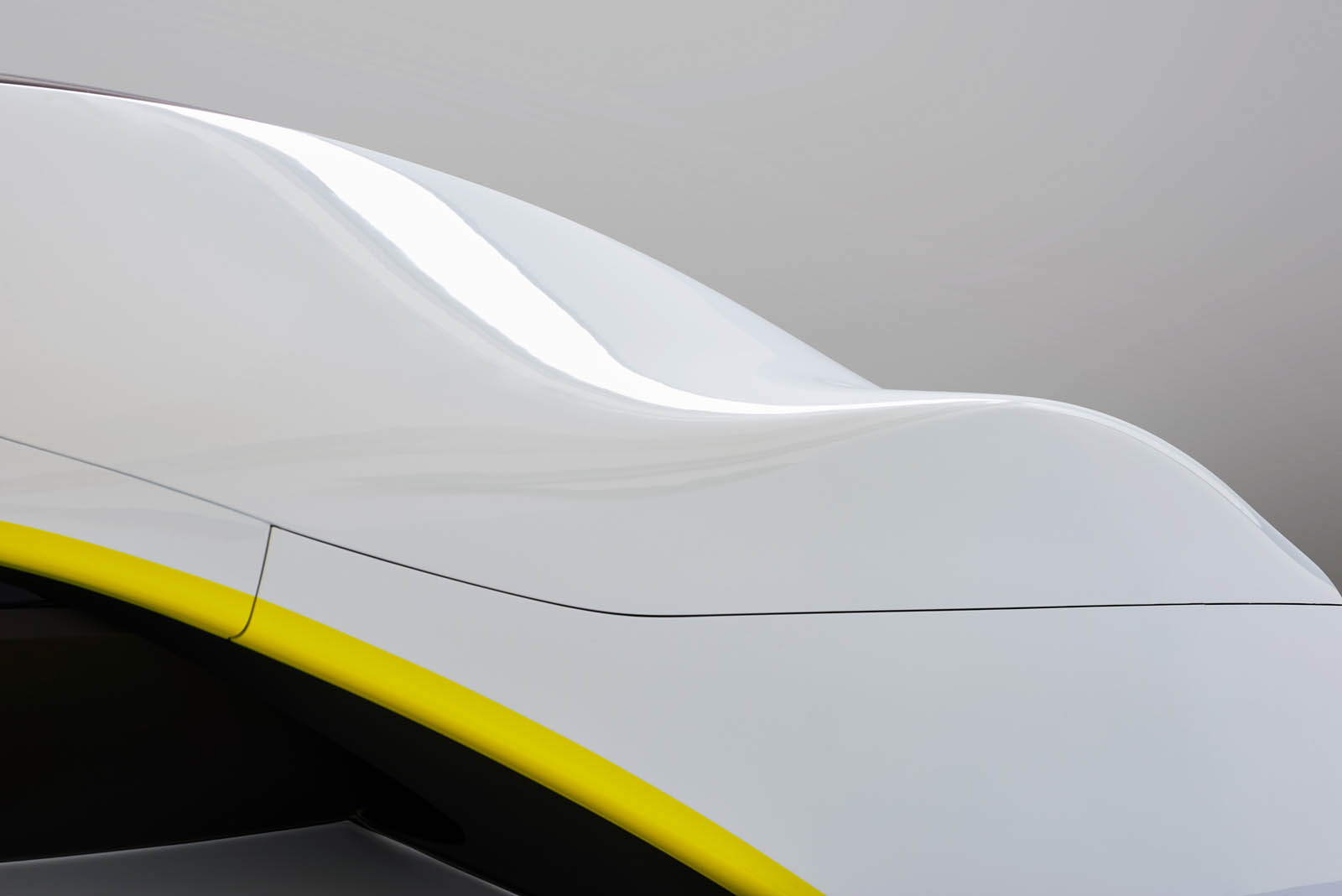 2017 - SCILLA CONCEPT, foto 9
