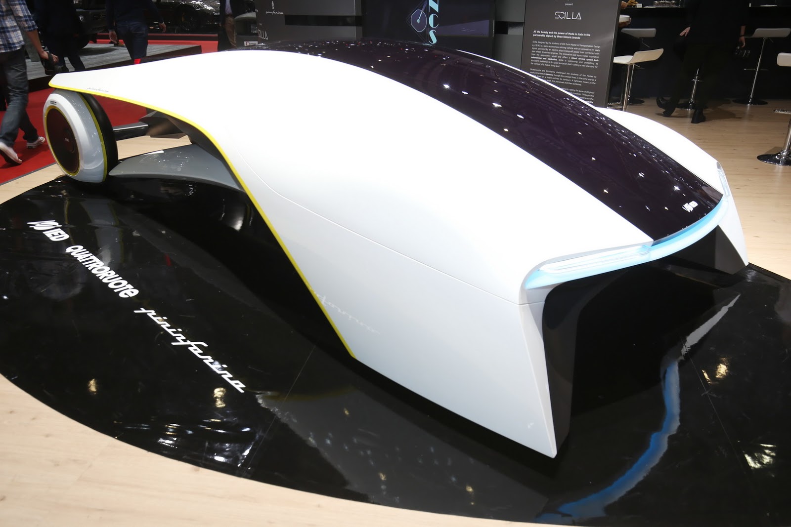 2017 - SCILLA CONCEPT, foto 15