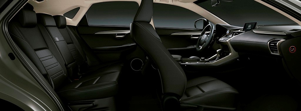 2017 - LEXUS NX 300h SPORT EDITION, foto 11