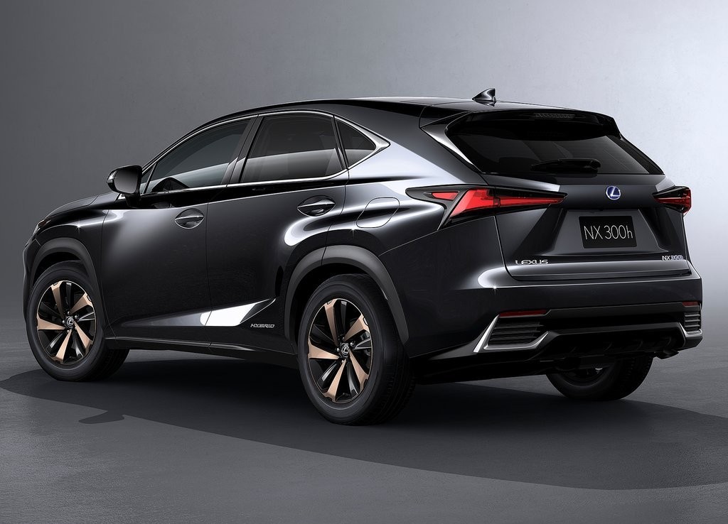 2018 - LEXUS NX, foto 11