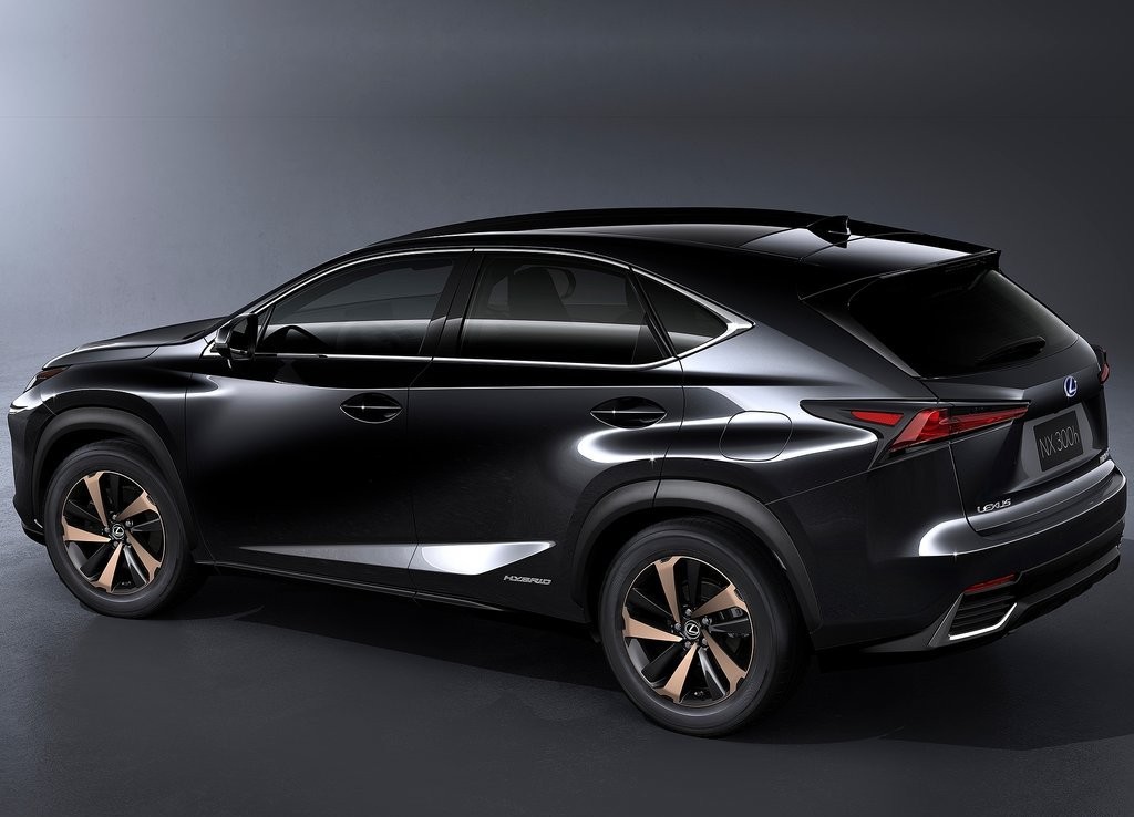 2018 - LEXUS NX, foto 12