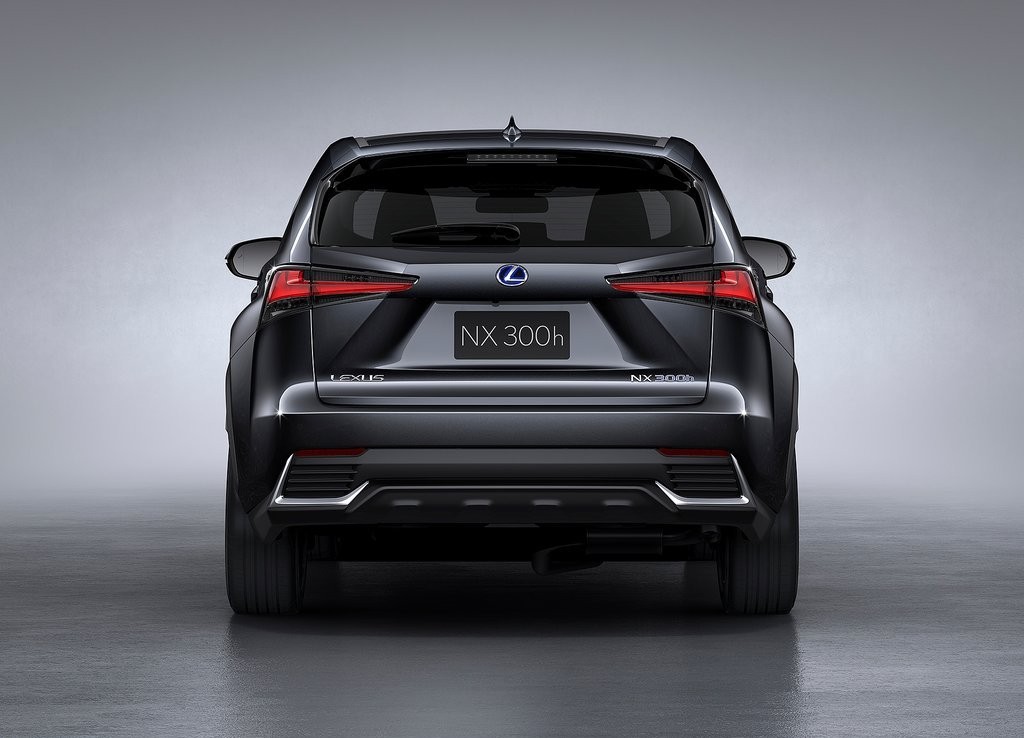 2018 - LEXUS NX, foto 18