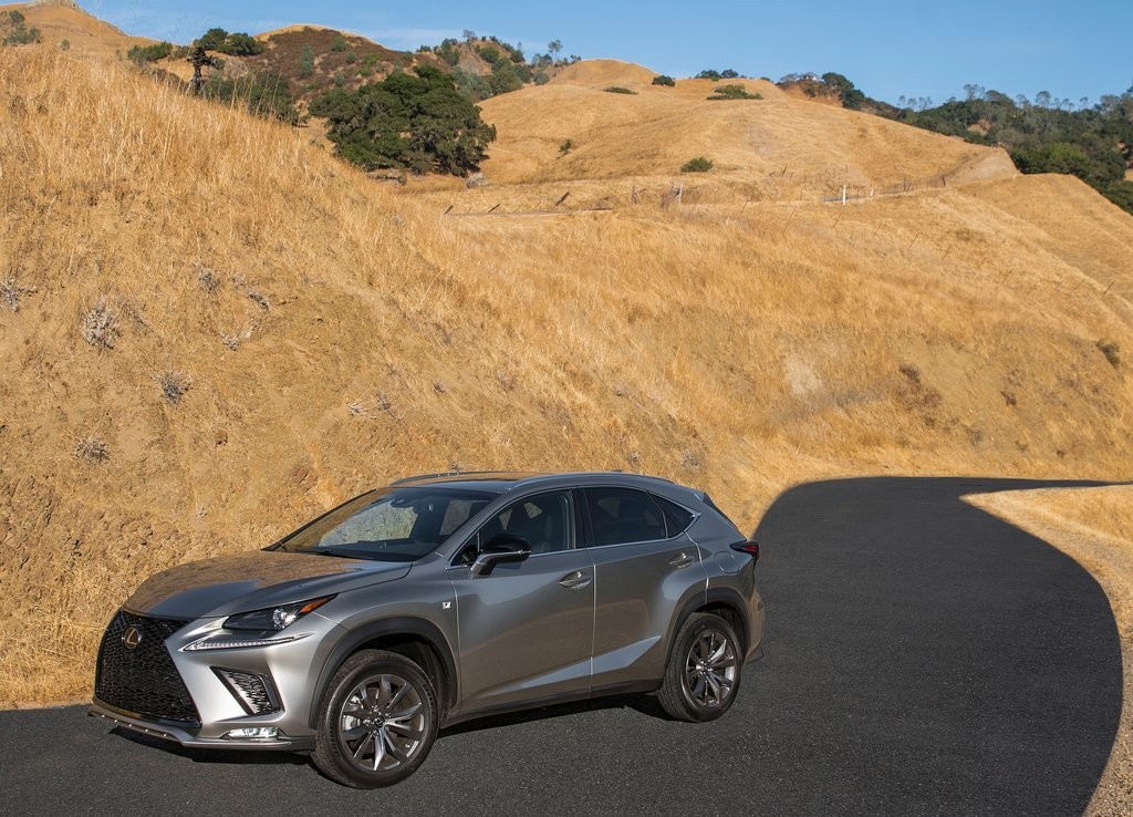 2018 - LEXUS NX, foto 27