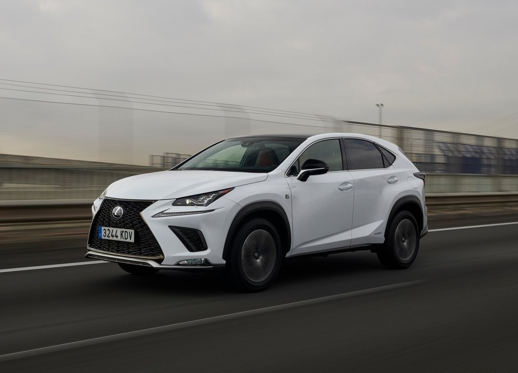 2018 - LEXUS NX, foto 34