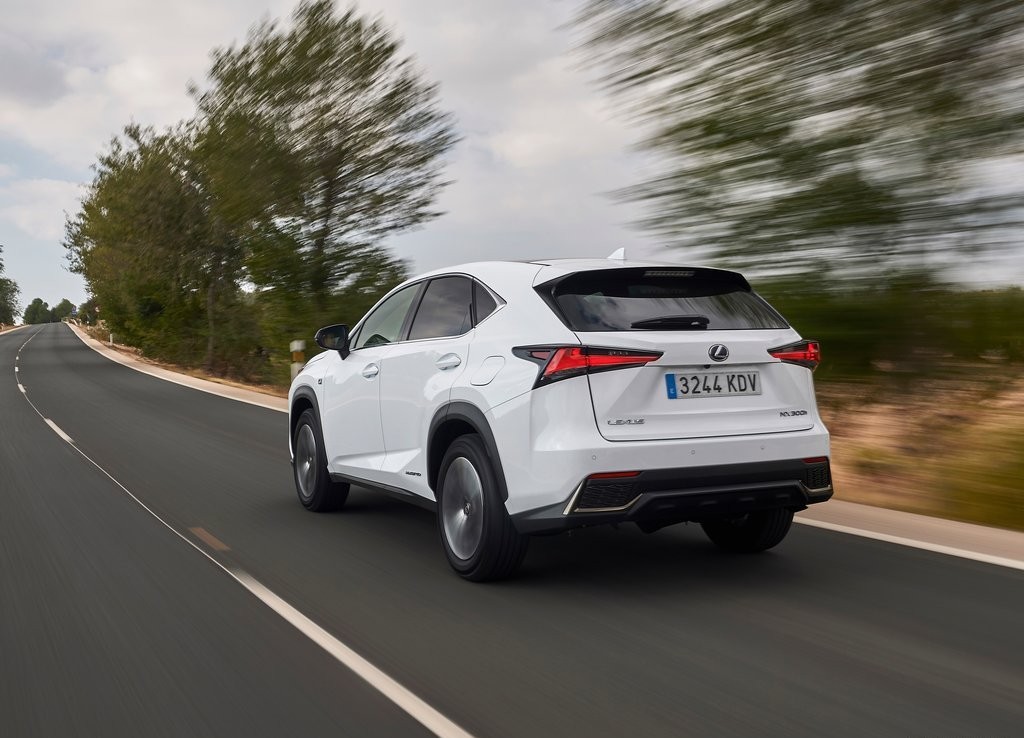 2018 - LEXUS NX, foto 49