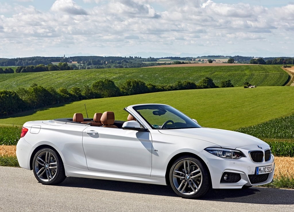 2018 - BMW 2 SERIES CABRIO, foto 47