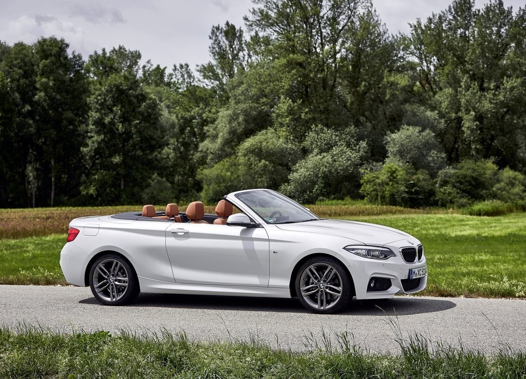 2018 - BMW 2 SERIES CABRIO, foto 48