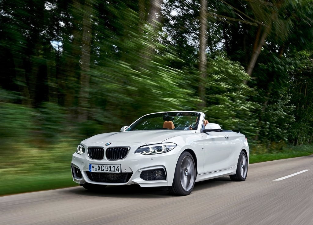 2018 - BMW 2 SERIES CABRIO, foto 53