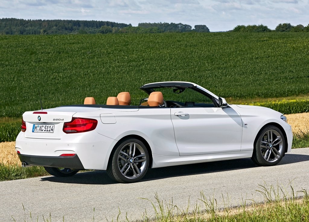 2018 - BMW 2 SERIES CABRIO, foto 77