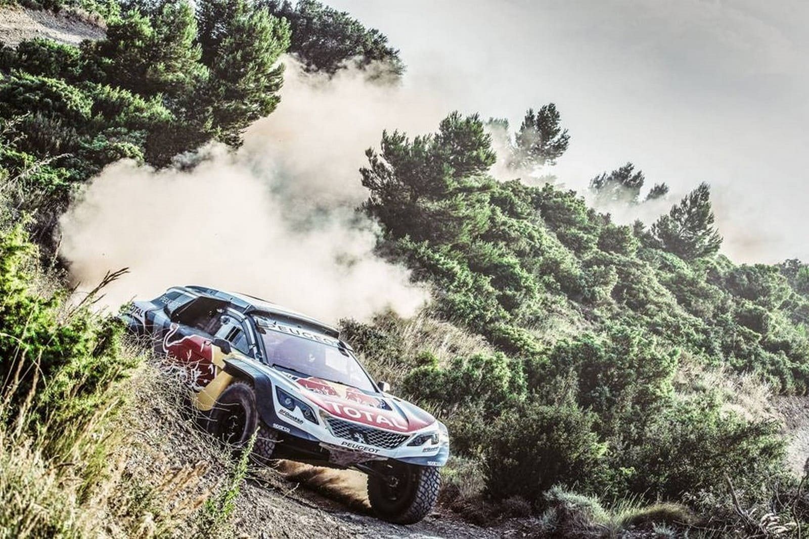 2018 - PEUGEOT 3008 DKR MAXI, foto 5