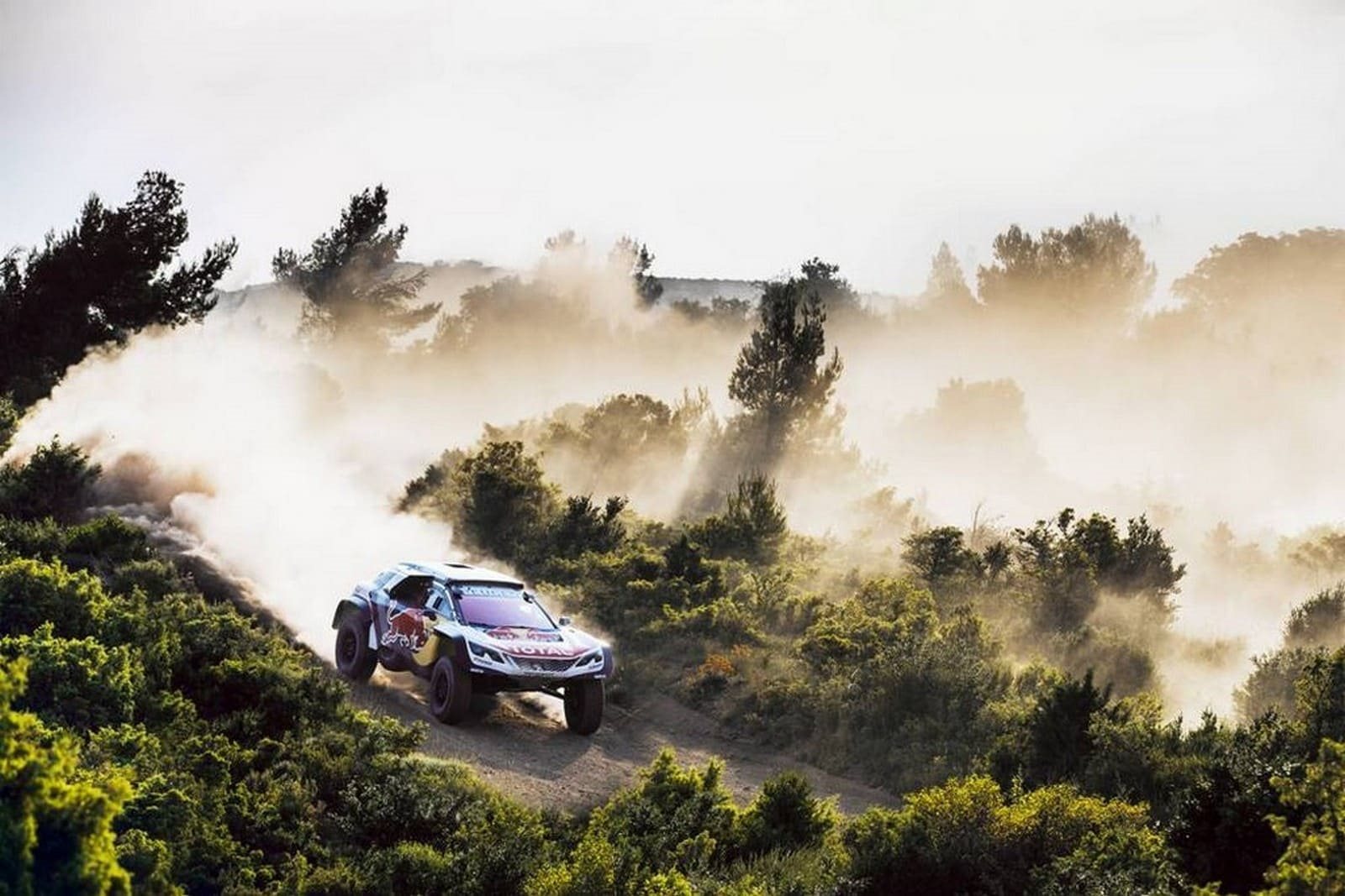 2018 - PEUGEOT 3008 DKR MAXI, foto 7