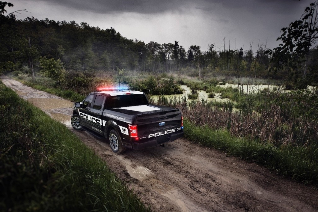 2018 - FORD F-150 POLICE RESPONDER, foto 6
