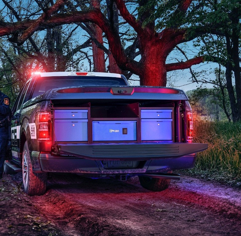 2018 - FORD F-150 POLICE RESPONDER, foto 9