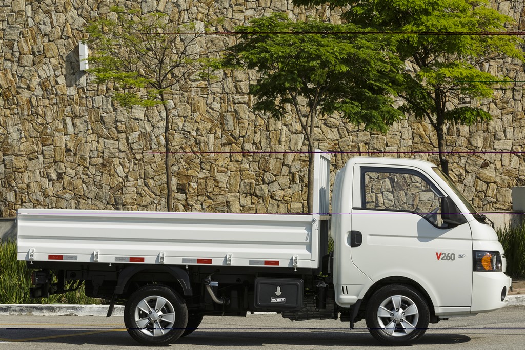 2018 - JAC V260, foto 12
