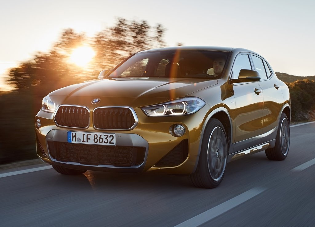 BMW X2, foto 100