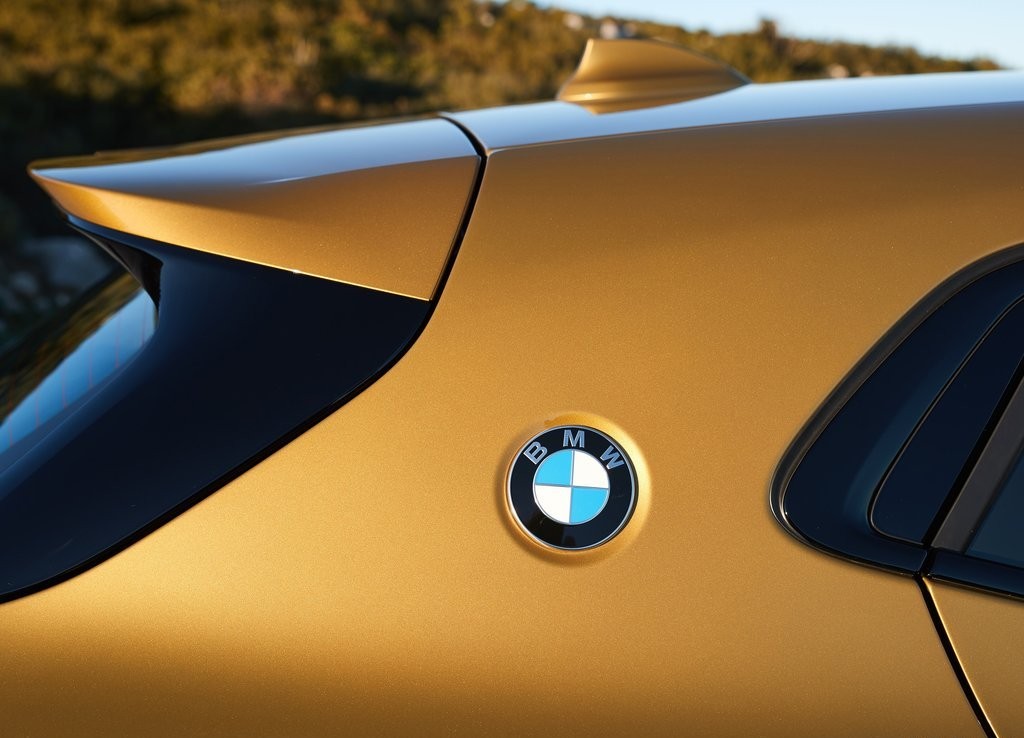 BMW X2, foto 203