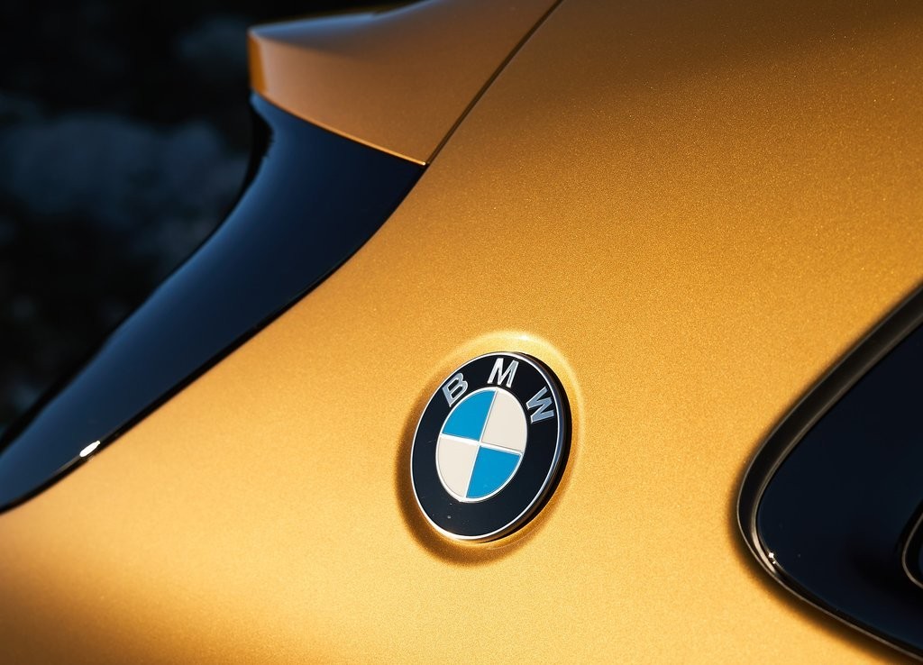 BMW X2, foto 204