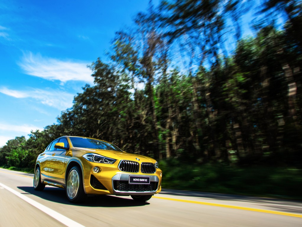 BMW X2, foto 217