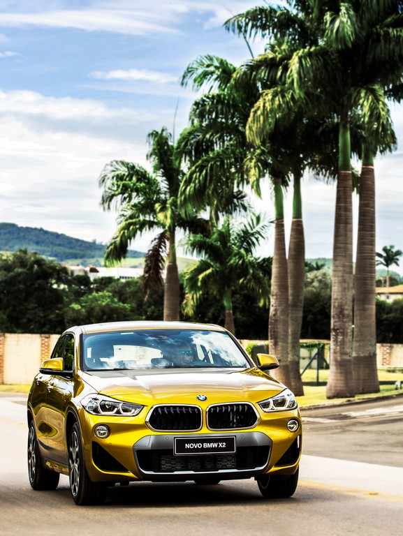 BMW X2, foto 221