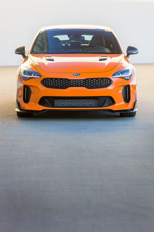 2017 - KIA STINGER GT FEDERATION & GT WIDE, foto 6