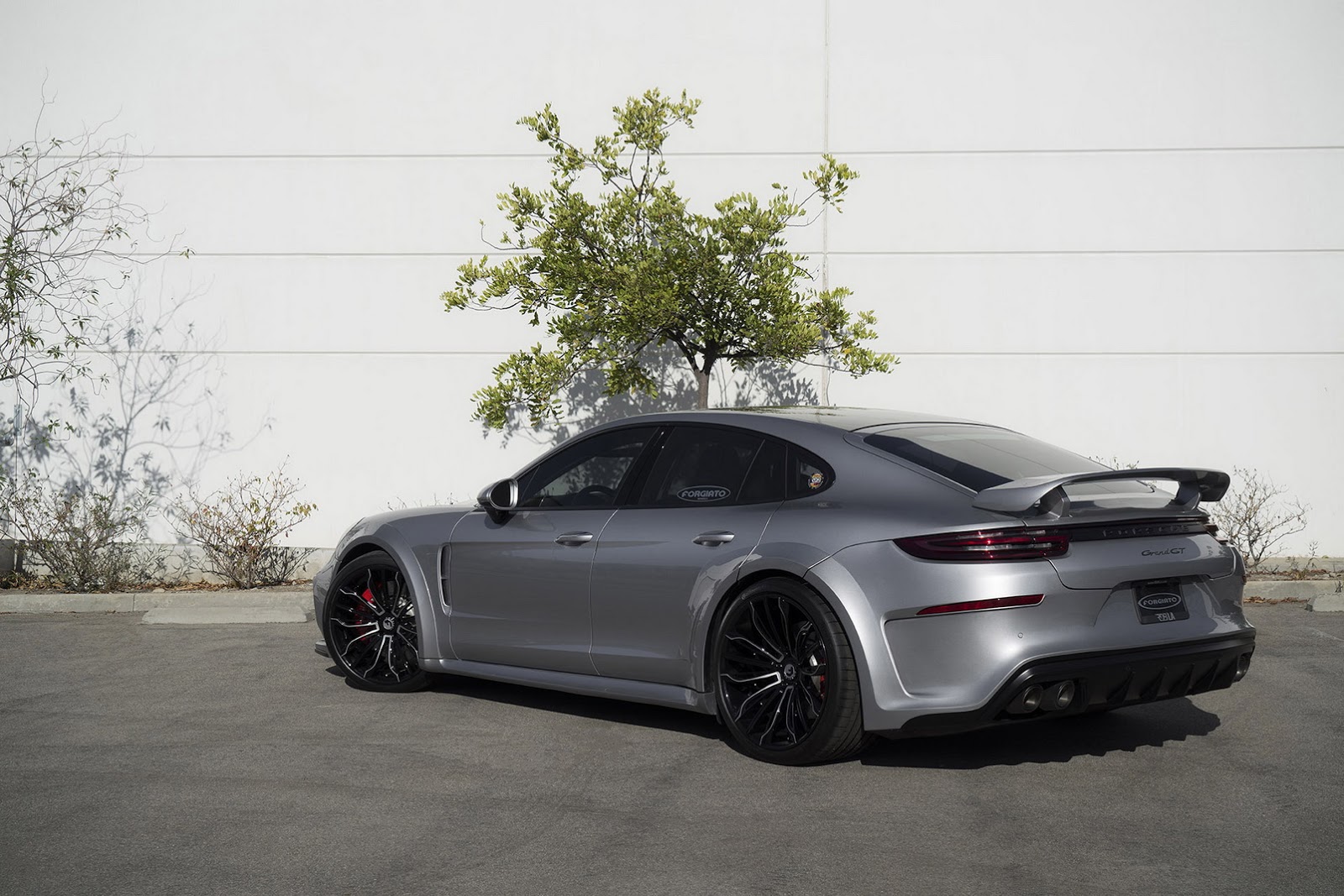 2018 - PORSCHE PANAMERA GRAND GT BY TECHART, foto 2