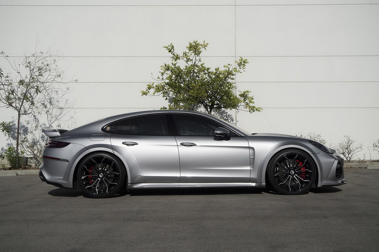 2018 - PORSCHE PANAMERA GRAND GT BY TECHART, foto 3