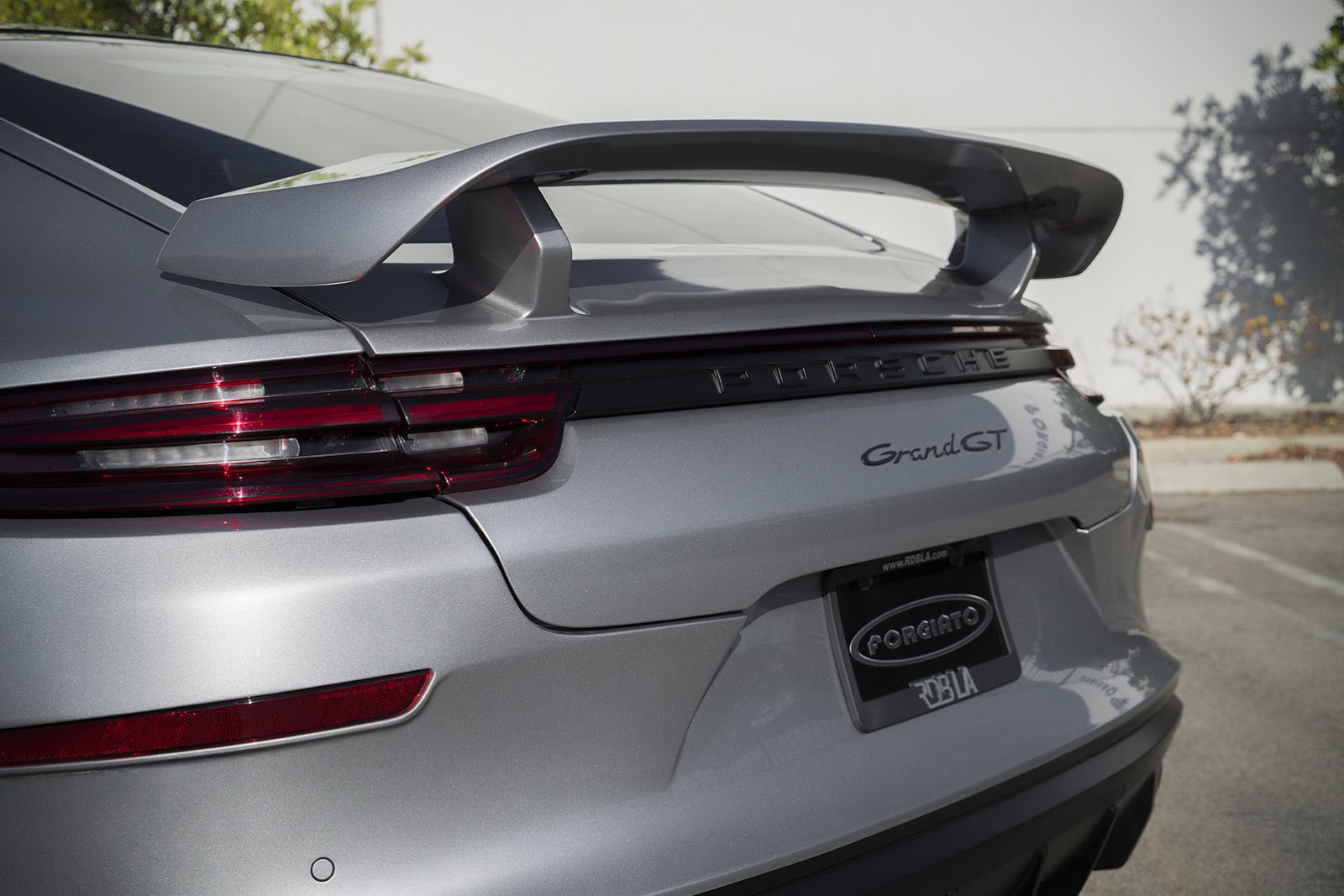 2018 - PORSCHE PANAMERA GRAND GT BY TECHART, foto 10