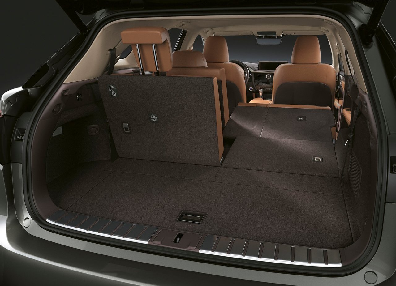 2018 - LEXUS RX L, foto 100
