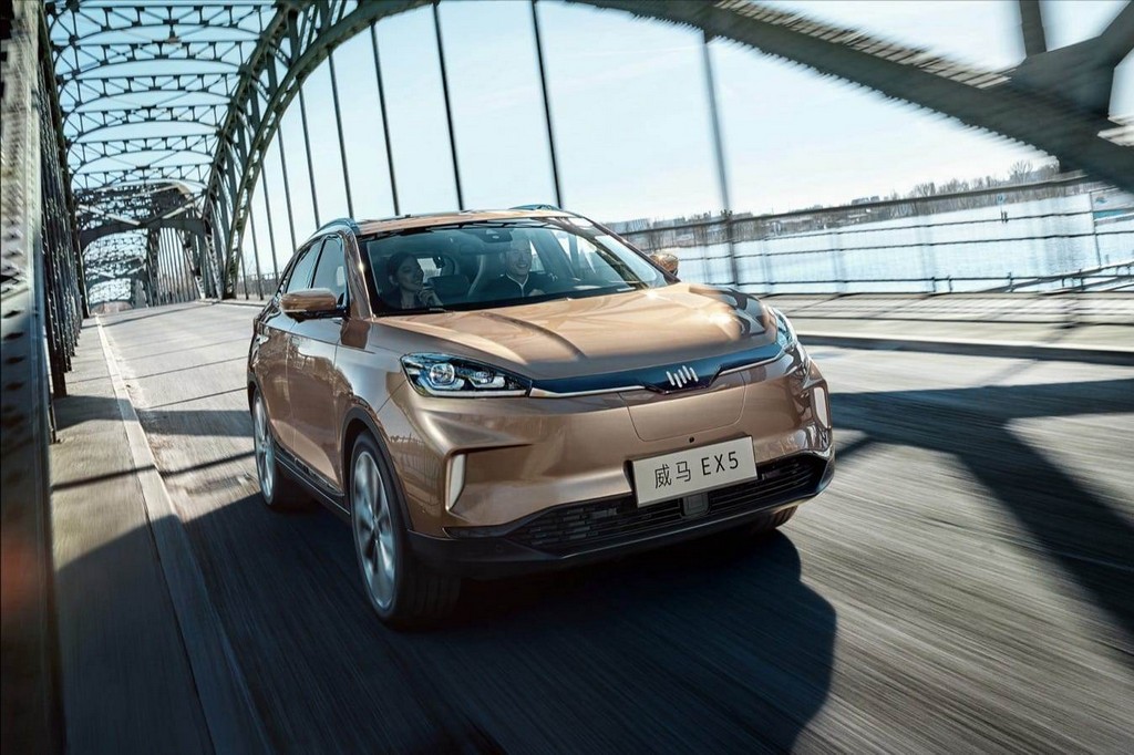 2018 - WELTMEISTER EX5, foto 2