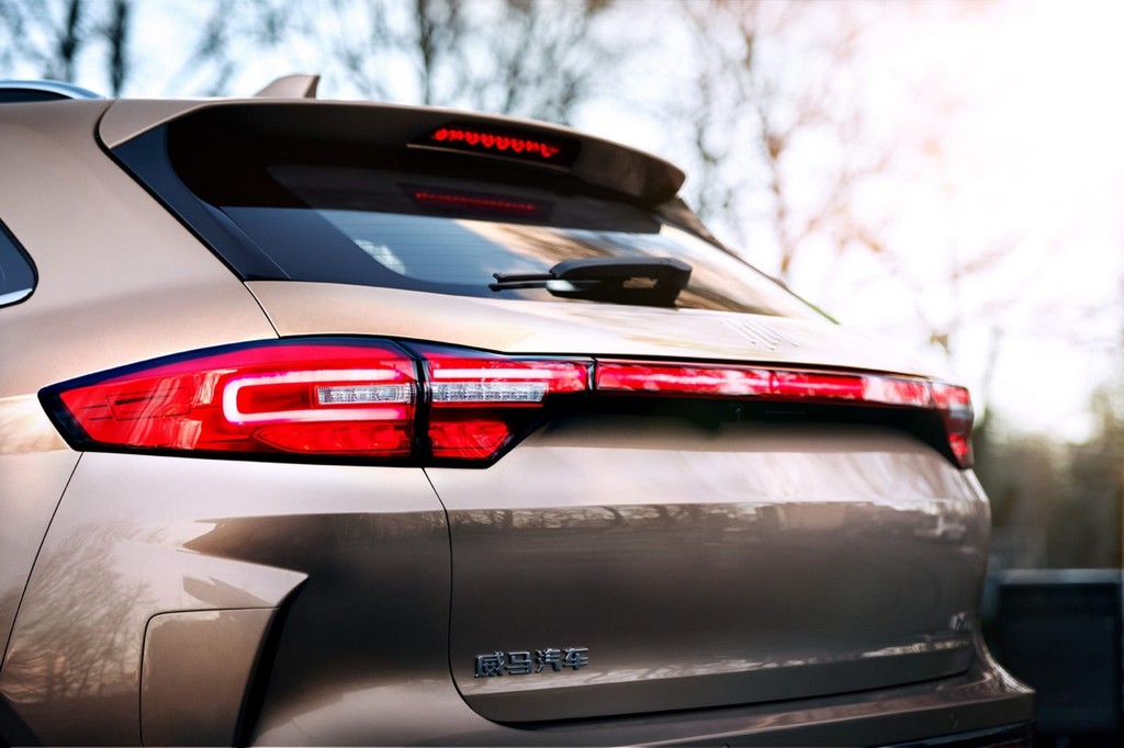2018 - WELTMEISTER EX5, foto 6