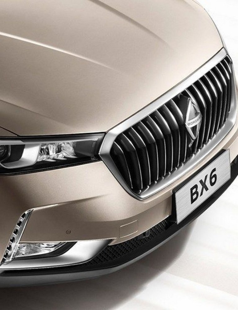 BORGWARD BX6, foto 11