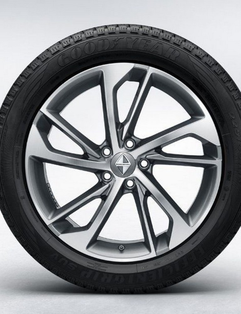 BORGWARD BX6, foto 14