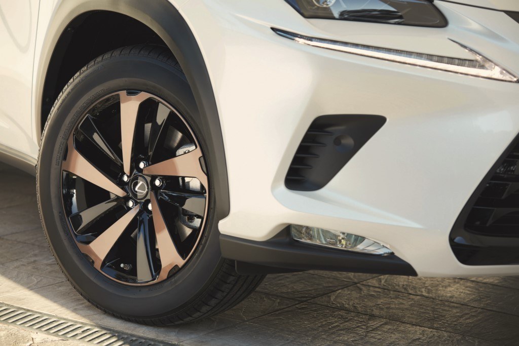 2018 - LEXUS NX 300h SPORT EDITION, foto 6