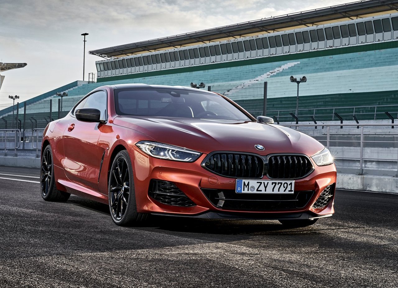 BMW 8 SERIES COUPE, foto 94