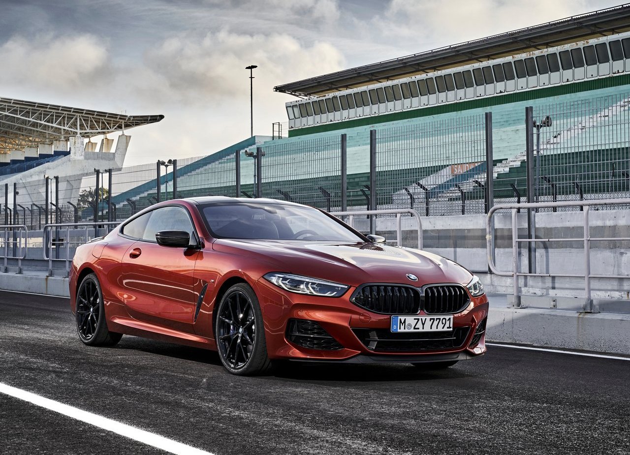 BMW 8 SERIES COUPE, foto 95